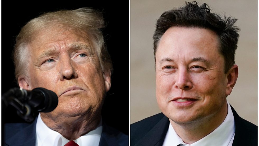 Donald Trump - Elon Musk